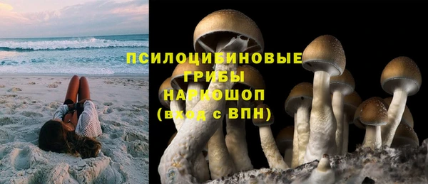 круглые Гусь-Хрустальный