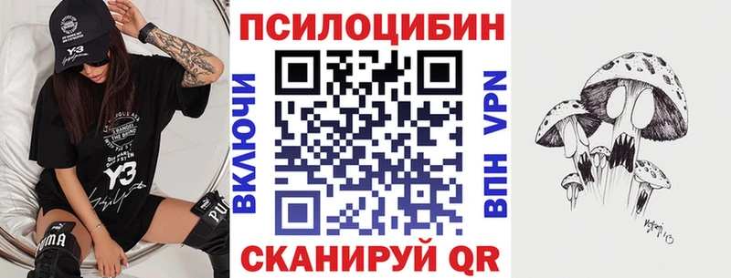 Галлюциногенные грибы мицелий  ОМГ ОМГ сайт  Магас 